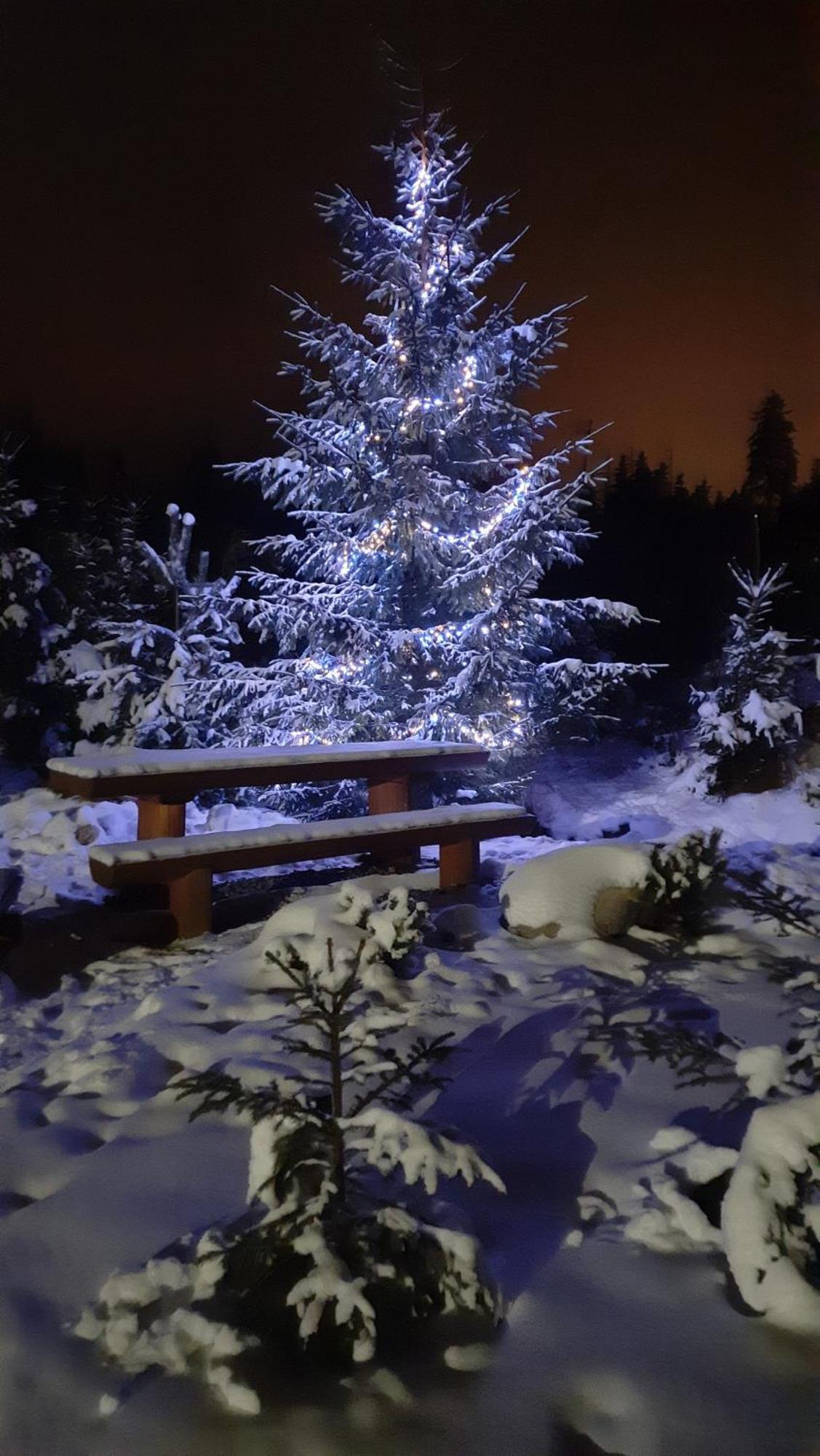 Goralska Chata Przy Dolinie Chocholowskiej Witow  Luaran gambar