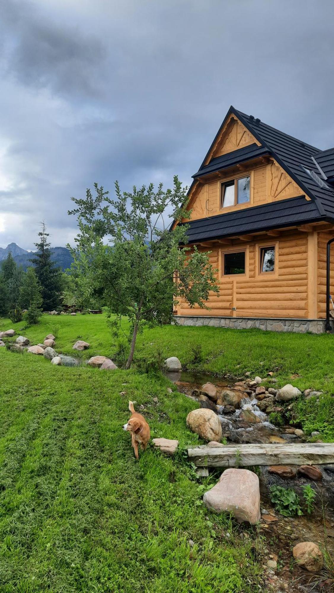 Goralska Chata Przy Dolinie Chocholowskiej Witow  Luaran gambar